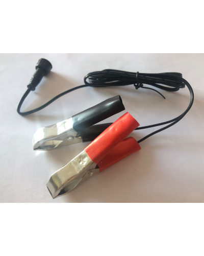 BIOGENTS CABLE BATTERIE TYPE II AVEC PINCES