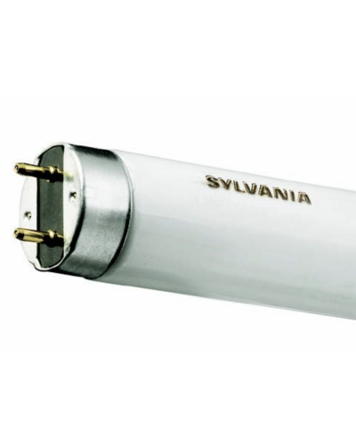 TUBE 18W 60CM GAINE SYLVANIA QUANTUM