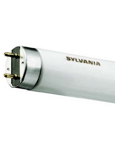 TUBE 20W  60CM_T12_SYLVANIA  GAINE & NON SYNERGETIC