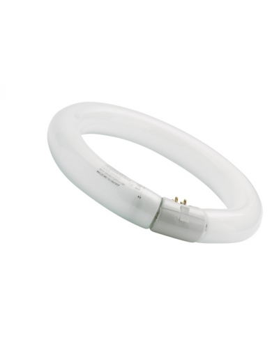 TUBE 22W CIRCULAIRE SYLVANIA non synergetic